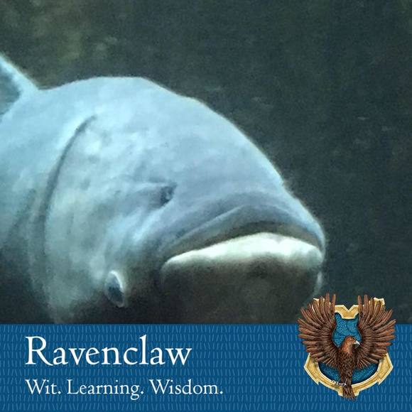 Meet your Posher, Zack - Picture 1 of 1